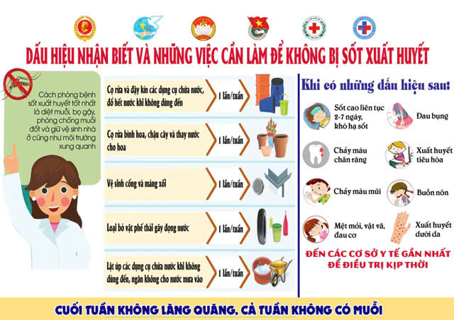 Media\2_svthanhdo\FolderFunc\202508\Images/sot-xuat-huyet-20250802042224-e.jpg